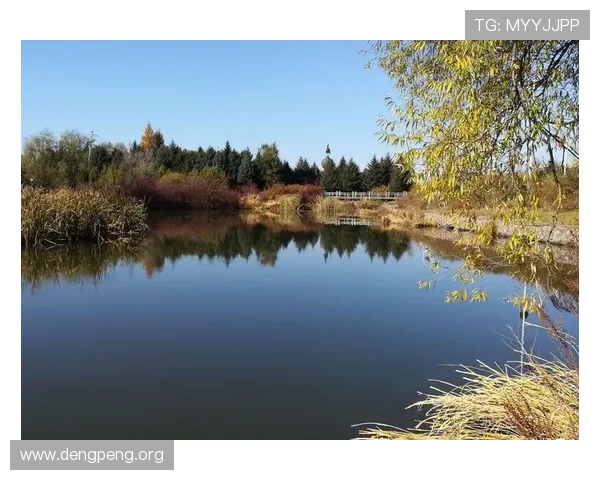 千亿像素看世界官网下载让你轻松获取高清地图和风景图片,满足你的视觉探索需求 千亿像素看世界官网下载让你轻松获取高清地图和风景图片,满足你的视觉探索需求