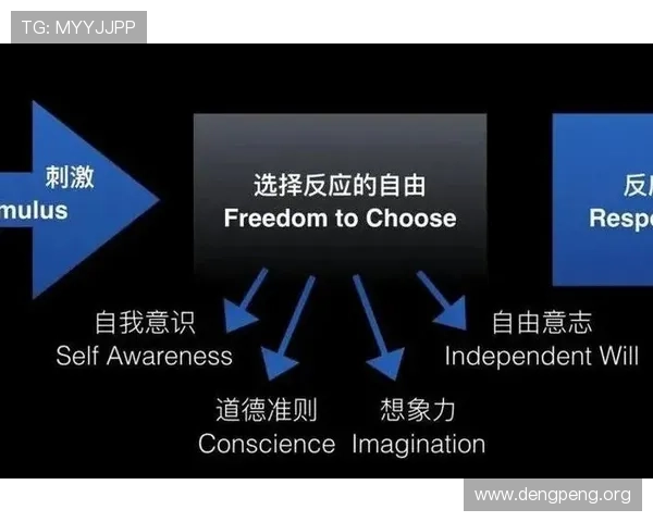 球友会qy游戏内常见问题及解决方案，帮助玩家高效应对各种技术难题