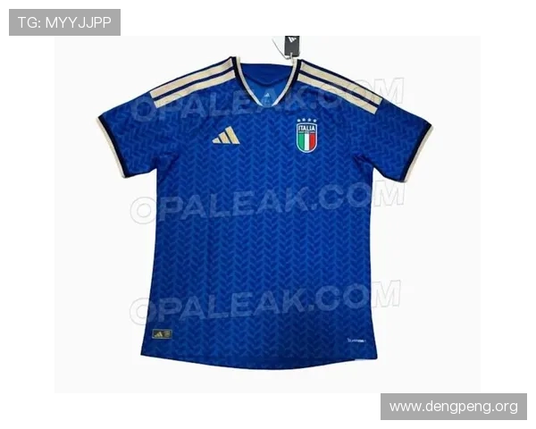 2026年世界杯官方球衣的颜色搭配与标志设计，彰显国家特色与团队精神