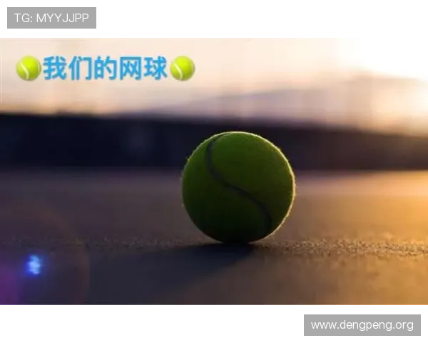 球友圈官网用户评价与使用体验分享帮助新手快速上手